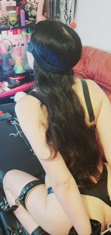 Sitting pretty for Master while vibing away