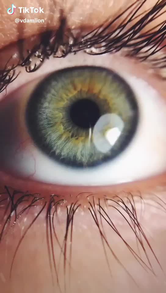  #bulgaria #eyewars #eye