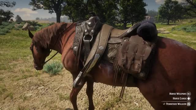 20 INSANE Details in Red Dead Redemption 2 (Part 4)