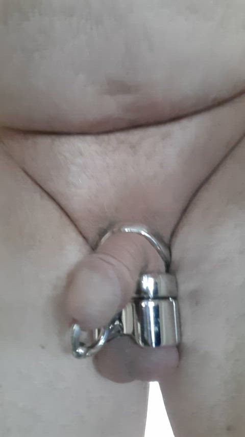 cock ring pierced stretching gif