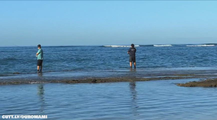 ass beach exhibitionism exhibitionist fisting lesbian public pussy teens gif