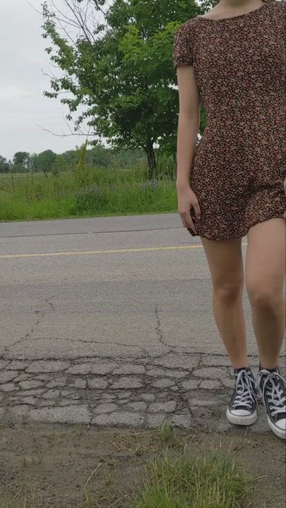 Just a quick peak before the road trip