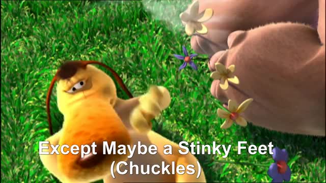 Hippopotamus’s Stinky Feet ?