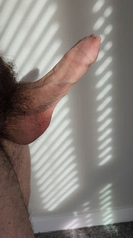 In the sunlight 😊