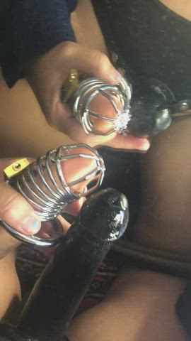 dominatrix femdom humiliation latina pegging r/sph gif