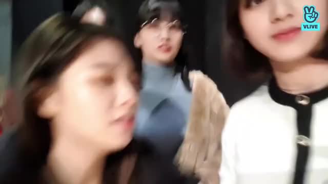 190117 [V LIVE] 가족사진찍기 트와이스 TWICE 5
