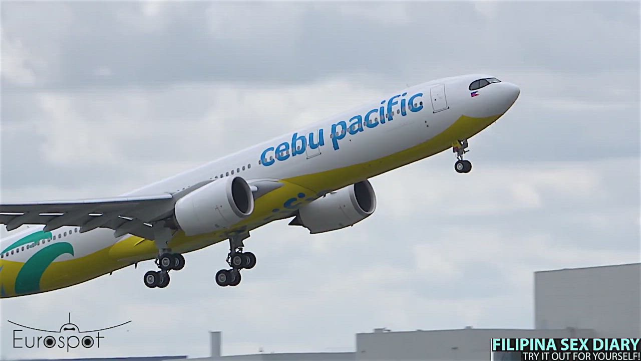 Airplane Asian Filipina Stewardess gif