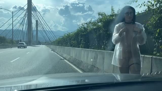 What if I need help with my car in the middle of the bridge! [OC][GIF]