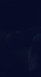 for everyone that sorts by new ily <3 (warning: girly noises?)