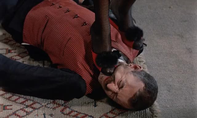 Belle-de-Jour-1967-GIF-00-45-11-face-stomp