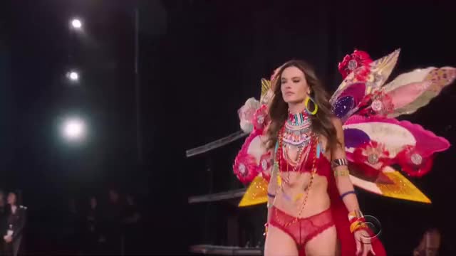 VSFS gif