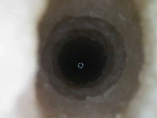 ass fleshlight gay sex toy gif