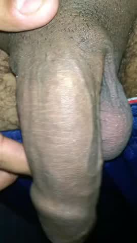 Cock gif