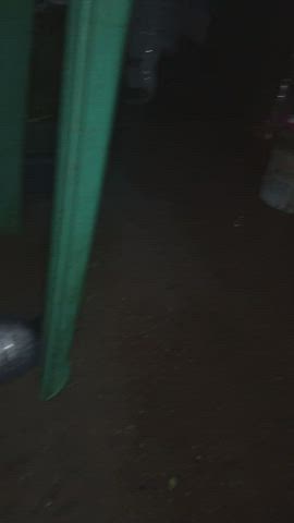 fetish toilet r/juicyasians gif