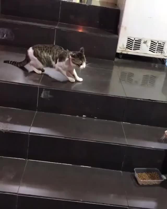 “It’s not worth it buddy, let’s go back inside.”