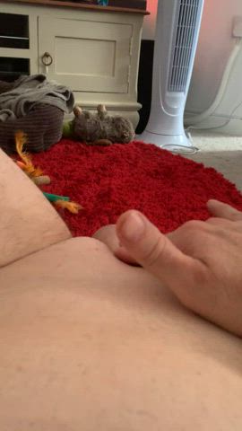 Rubbing my cock like a clit.
