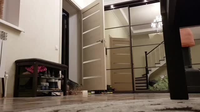 Nude flashing to delivery guy