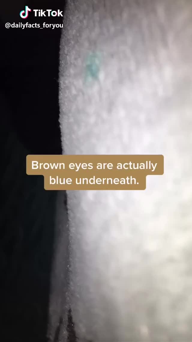 ?? #eyes #funfact #fyp #foryou #foryoupage #tiktok @tiktok