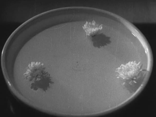 No-Regrets-for-Our-Youth-1946-GIF-00-28-14-flowers-in-water