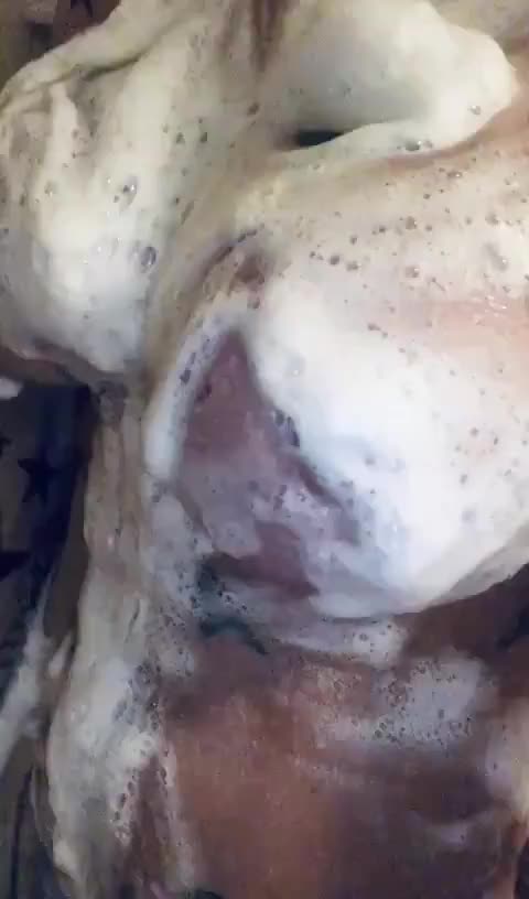 Fabiola Voguel Soapy Shower
