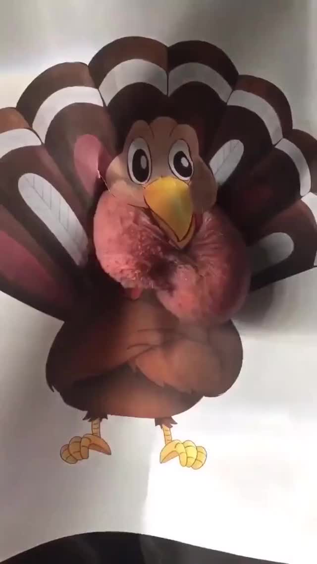 Happy Thanksgiving ?