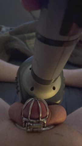 Chastity Clit Sissy Vibrator gif