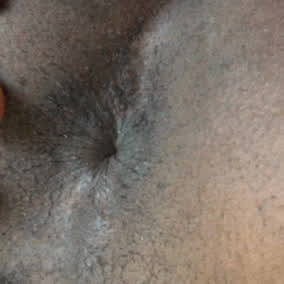👃🐷