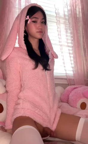 bouncy rabbit 🐰💕
