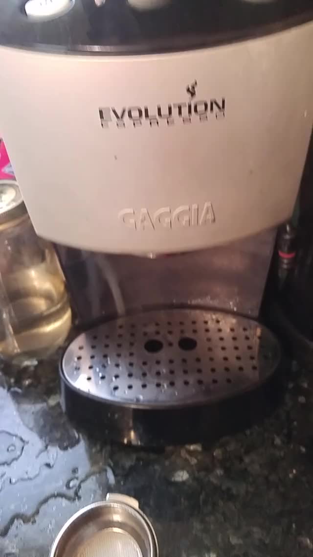 gaggia evolution