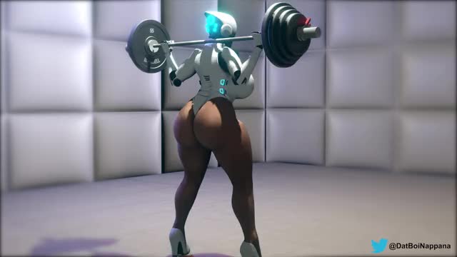 haydee squats
