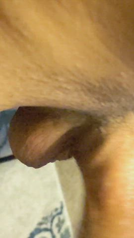 I love watching her throat bounce. She's learning well to swallow meat.
