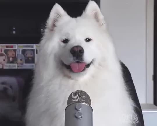 finally some good ASMR