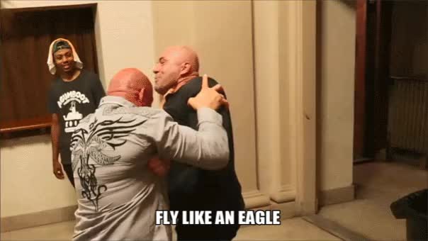 Fly, like an eagle...