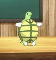 Turtle