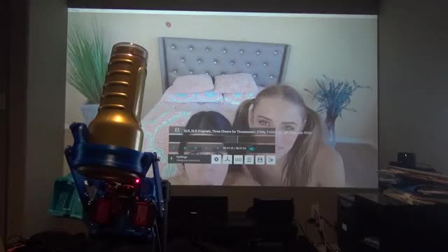 Porn Pleasure at the Next Level...! Highly Immersive Automated Sex Toy Scripts Perfectly