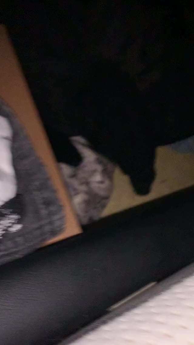 Love it When he shoots his load on my pussy