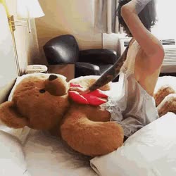 Riding a Teddy Bear