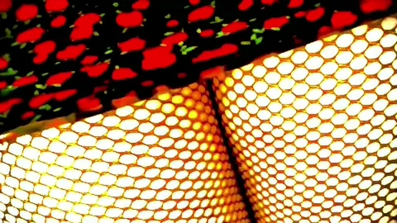 Ass Sissy Thick gif