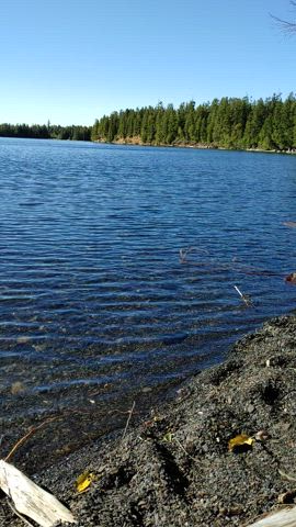 Some outdoor fun by the lake