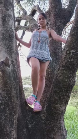 I climbed this tree for a better view