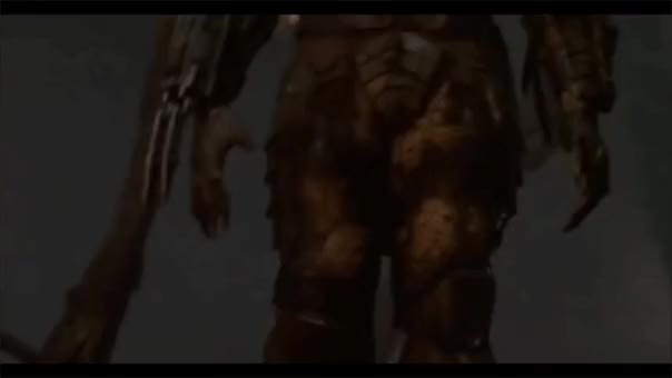 Predator