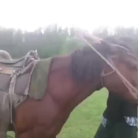 Вот смотри