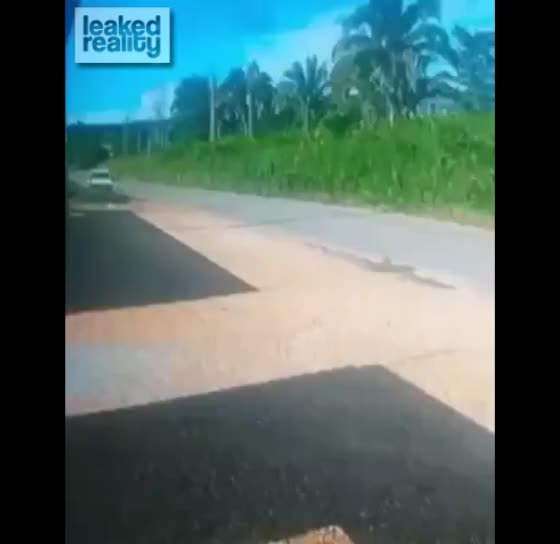 head on collision