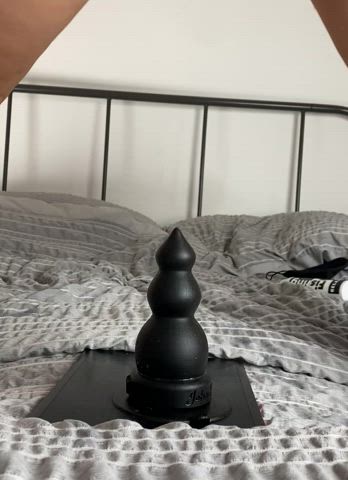 (F) I wonder if you could tell I was having the time of my life riding this huge