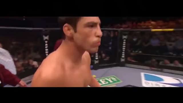 Diego Sanchez vs. Clay Guida