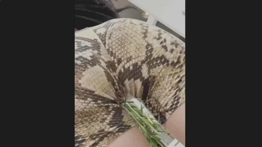 Anal Big Tits Cute Deepthroat German JAV Netherlands Schoolgirl Stockings gif