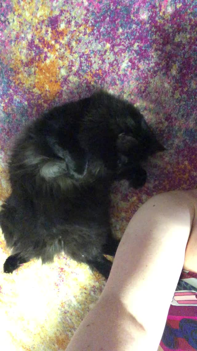 [blooper] I don’t need to take cute photos. I just need to ❤️ him.