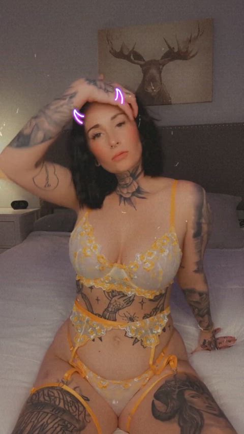 ✨✨