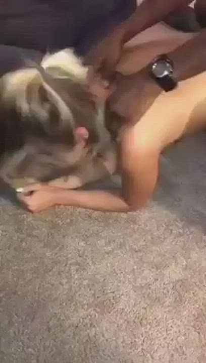 Bull Doggystyle Voyeur gif