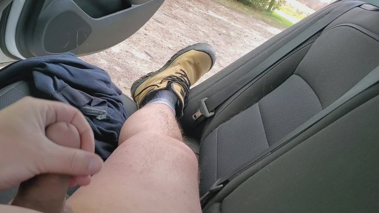 Pulled over at a dog park